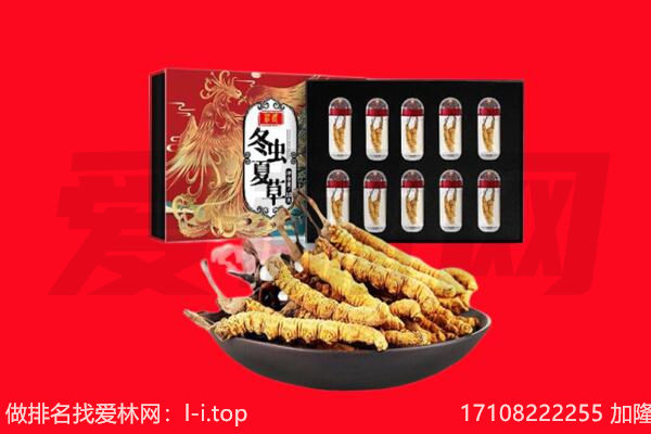 株洲炎陵县回收虫草.jpg